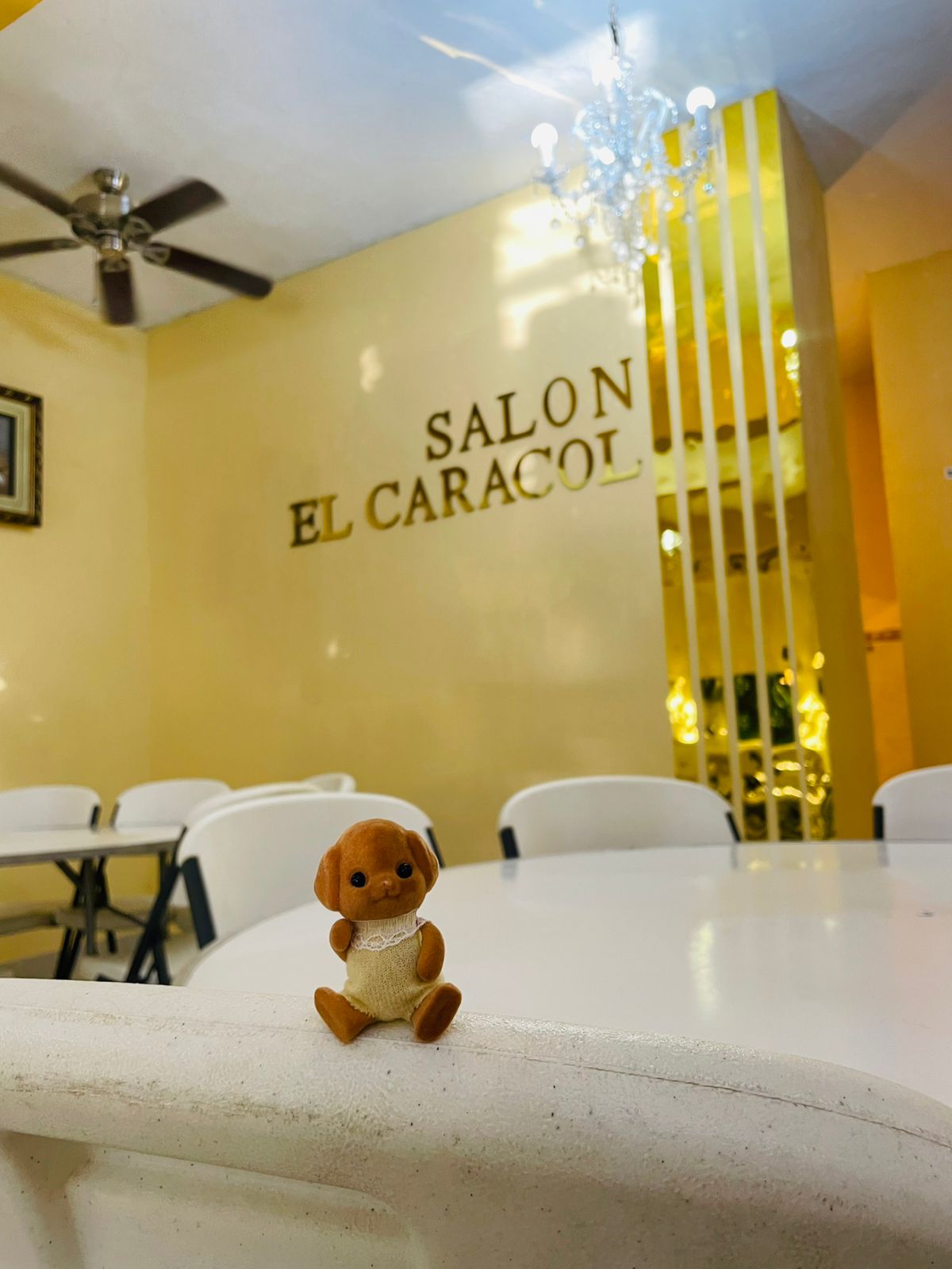 Porque no todo es trabajo… en El Caracol también nos divertimos.